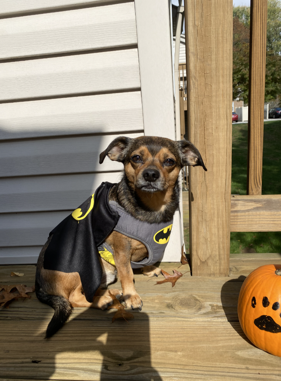 Screenshot 2026-01-08 At 11.36.00 AM