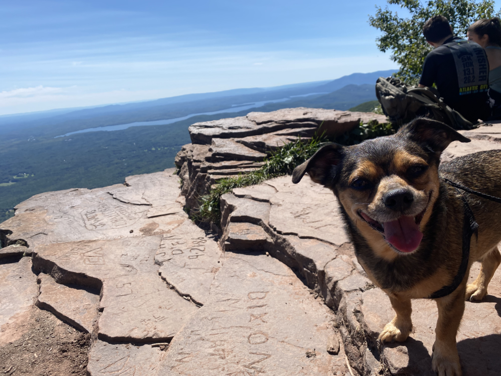 Screenshot 2026-01-08 At 11.36.25 AM