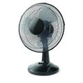 Fan (1)